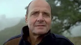 What's New on Cohen Media Channel? - September '23
