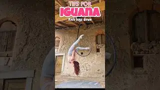 #aeriallyra #aerialflow #aerial #aerialhoop #lyrahoop #aerialpractice #circus #poledance #iguana