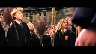 What an Idiot - Hermione Granger Quote