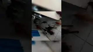 lihat serunya kalau makan siang 