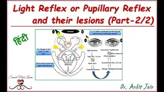 Light reflex pathway and lesions (Part-2/2) in Hindi // pupillary light reflex pathway and lesions