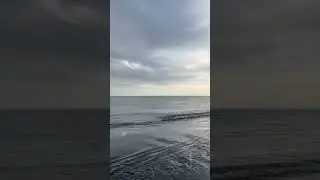 Красота по Сочинский 😻 