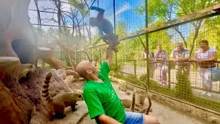 Люська конечно АРТИСТКА, но эти прыжки на голову уже тяжело выдерживать)