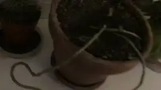 Вечер в ноябре