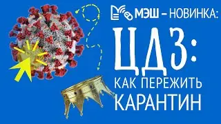 МЭШ. Как пережить карантин. Дистанционное обучение. Цифровое домашнее задание.