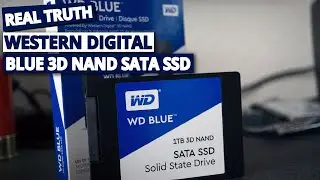 WD Blue 3D NAND SATA SSD Review: The Best Budget Upgrade for Your PC in 2026?