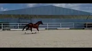 Хайди Фрай