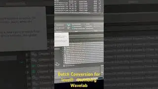 #wavelab #steinberg #convert multiple files