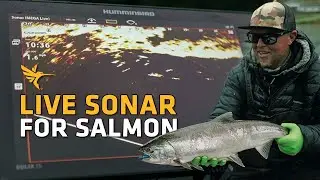Catching Salmon with MEGA Live Imaging | Live Sonar Salmon Fishing