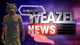 так всё же, енот это или оборотень?