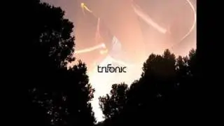 Trifonic-Gutter Box