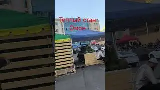 эркакча #мигранты #таджикистан #узбекистан