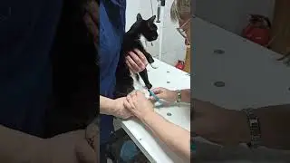 18 января 2023 г.