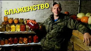Семья в деревне. Каштан... В погреб как в сейф