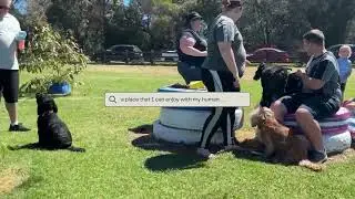 Pearcedale Pawdock - Private dog park