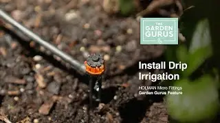 How to Install Drip Irrigation with The Garden Gurus