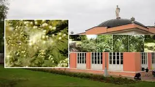 Лето в Воронцовском парке