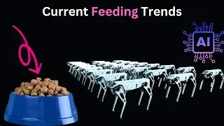 Dog Diet Trends 🐶🍲