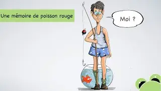 Une mémoire de poisson rouge