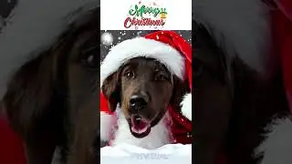 AI turn Cute Cat and Dog  Into Merry Christmas Card Art