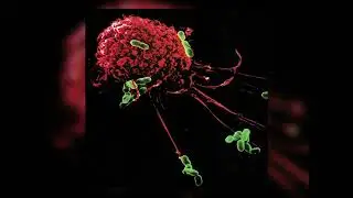 Method 5150 - Demo (1998) [Nu Metal / Rap Metal / Old School]