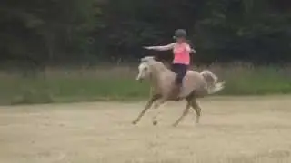 3 years with my pony of a lifetime♥