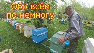 Работы на ПАСЕКЕ! Обо всём по немногу!