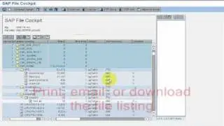 SAP File cockpit - an application to replace AL11, FTP, and UNIX access