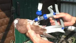 Вакцинатор - нюансы ...