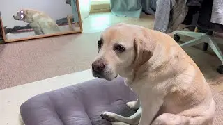 They keep surprising me...