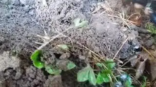 Коп по П.М.В.Ч.2.
