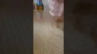 увеличить слайм в 2 раза за 5 минут реально