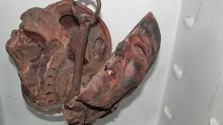 The Mummified Head of Peter Kürten, the “Vampire of Dusseldorf”