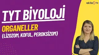 22) TYT Biyoloji - Organeller(Lizozom, Koful, Peroksizom)