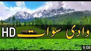 Dir karo dara#ai malgaro owaye kali ta ba kala zo