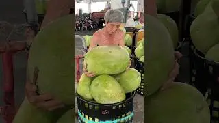 Aamzing! Taiwanese Giant Watermelon - Fruit Cutting Skills