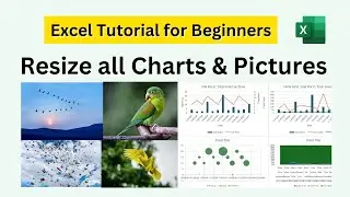 Make same size of all selected Charts and Pictures in Excel