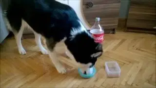 Coca Cola Dolu Buzdolabı İstiyoruzz