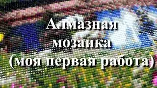 Новое увлечение - алмазная мозаика (обзор готовой работы)