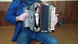 Песня на гармони виртуозная игра на гармони