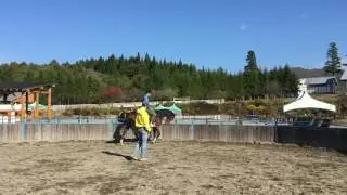 エタンダール 乗馬 20161027 牧歌の里