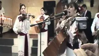 Ha llegado un Angel -Divas de America