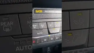viral Kuga 2023