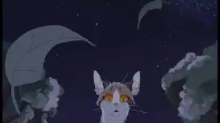 MAP - Cats Warriors