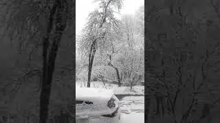 А ты опять вернулась?