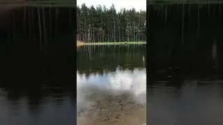Мысли психолога. «Одиночество».