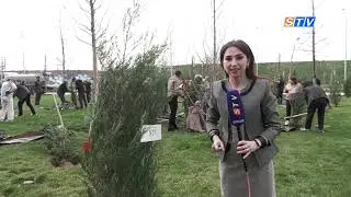 В Silk Road Samarkand посажено дерево STV.UZ