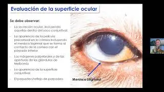 Tema 4 La dinámica lagrimal