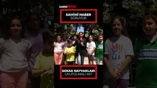 Sokak Hayvanları Uyutulmalı Mı? Ötenazi hakkında ne düşünüyorsunuz? #sokakhayvanları