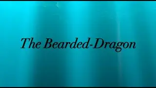 The Bearded-Dragon #1- Beard Tips & Isner Mile Beard Kit Review